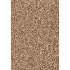 INVICTUS MAGNIFICUS 40 LATTE Image