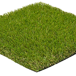 ESSENTIAL LAWNS TURKEY 40MM Image