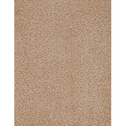 DALTON 31 GINGER Image