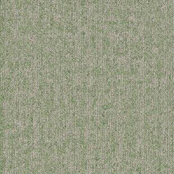 ESSENCE ROOTS AD08 7284 Image