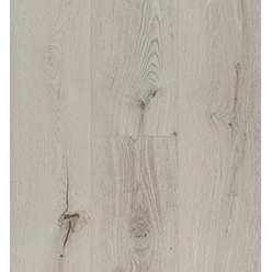 OCEAN GYANT LIGHT Image