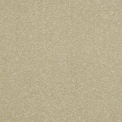 STAINFREE ULTRA ANTIQUE CREAM Image