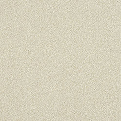 STAINFREE ULTRA POWDER Image