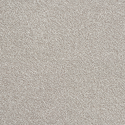 STAINFREE RUSTIQUE TWIST GREYSTONE Image