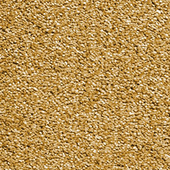 BAYWOOD MUSTARD Image