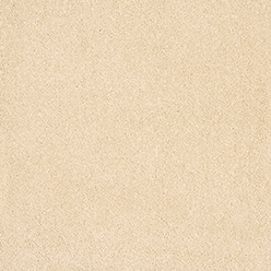 ARIES 03 FLINT Image