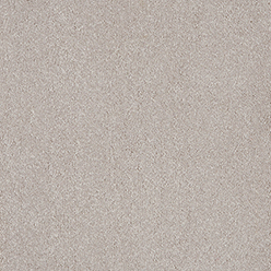 ARIES 90 SILVER LINING Image