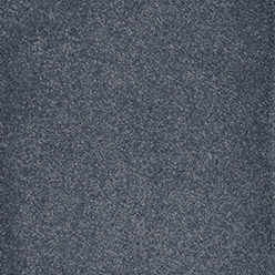 TAURUS 79 WEDGEWOOD Image