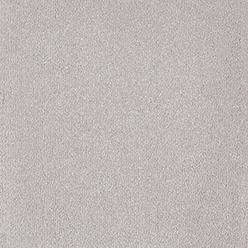 TAURUS 90 SILVER LINING Image