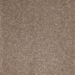 MAYPOLE FESTIVAL Image