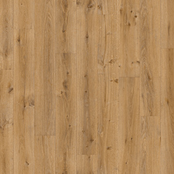 PLAZA TX SIGHTSEER Image