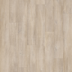 PLAZA TX ADVENTURE Image