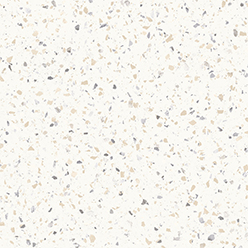 TECHNIQUE CORNONET T10 Image