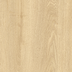 TECHNIQUE ELIAS T32 Image