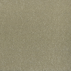 COSMIC TWIST PEGASUS Image