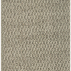 Broadwick Action - Myra Biscuit