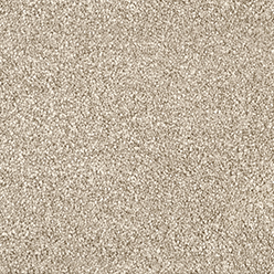 ELLSWORTH SUPER MAIZE Image