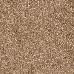 Canopus - 40 Nutmeg