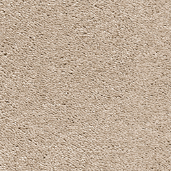 Castor - 35 Biscuit Crumbs