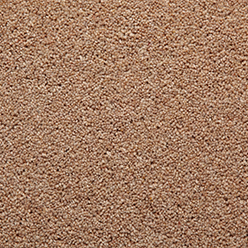 TOMKINSON TWIST ULTIMATE HARVEST Image