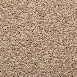 TOMKINSON TWIST SUPREME MUSHROOM Image