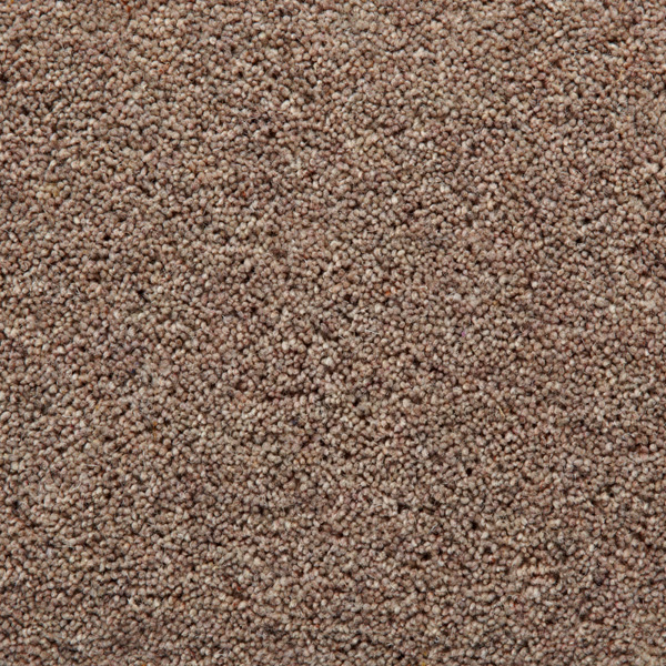 TOMKINSON TWIST DELUXE & STRIPES WILLOW Image