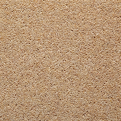 TOMKINSON TWIST REGULAR DESERT Image