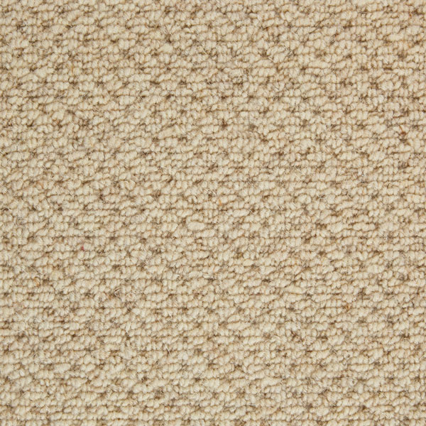 BERBER SEASONS AUTUMN DEVON Image