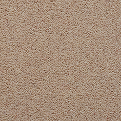 SUMMIT TWIST ELITE FITZ ROY Image