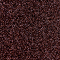 HIGHFIELDS 253 REDCURRANT Image