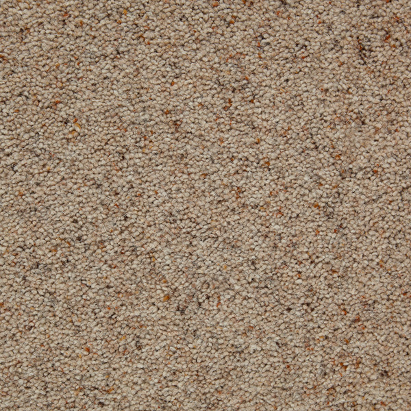 TOMKINSON BERBER CLASSIC ELDER Image