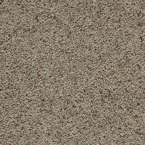 TOMKINSON BERBER CLASSIC SQUIRREL Image