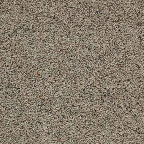 TOMKINSON BERBER SUPERIOR SQUIRREL Image