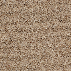 NEW ELFORD PREM (C) MAIZE Image