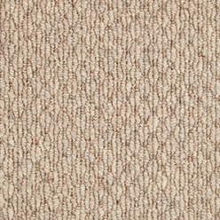 SANDY SPRINGS BRAID PALOMINO Image