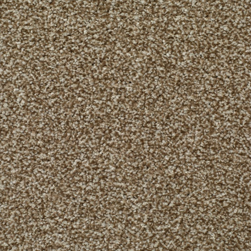 LITERATURE ELITE CHRONICLE Image