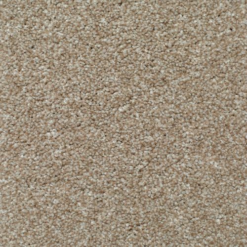 LITERATURE ELITE NARRATIVE Image