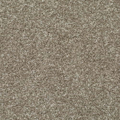 LITERATURE ELITE PARAGRAPH Image