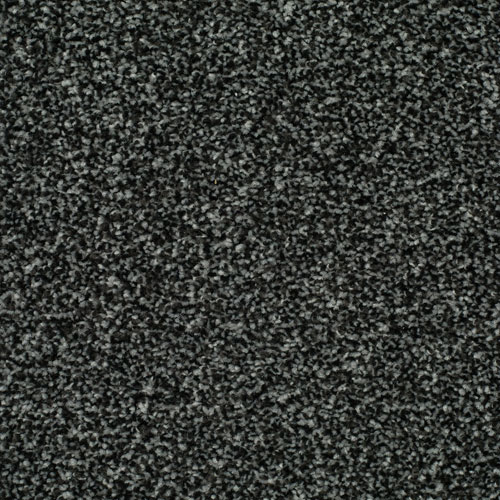 LITERATURE ELITE PARCHMENT Image