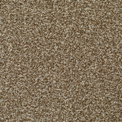 LITERATURE EXCLUSIVE CHRONICLE Image