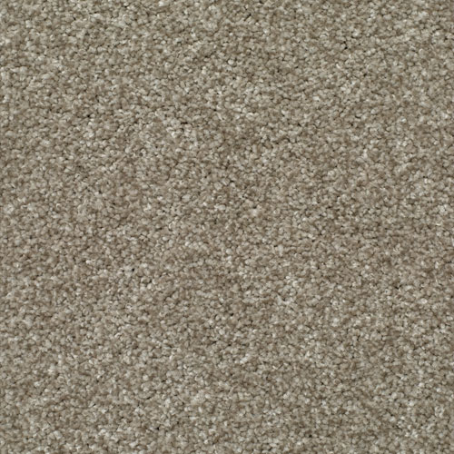 LITERATURE EXCLUSIVE PARAGRAPH Image