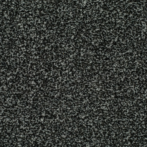 LITERATURE EXCLUSIVE PARCHMENT Image