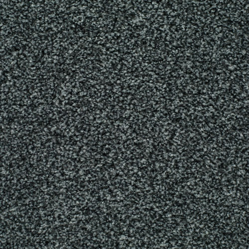 LITERATURE EXCLUSIVE SCRIBE Image