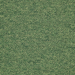 SPRINT TILE 141 PARAKEET Image