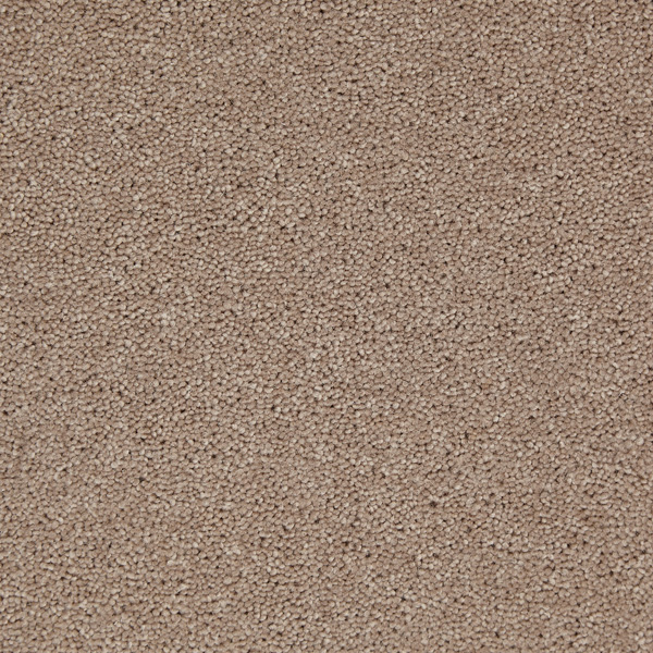 TEMPLE TWIST PORPOISE Image