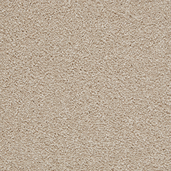 AMBIENCE 620 CREAM Image