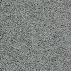 TOMKINSON PLAINS APPLE Image