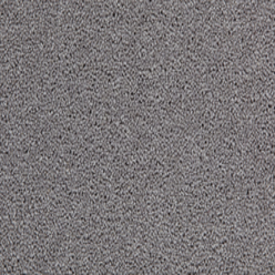 TOMKINSON PLAINS ARGENT Image