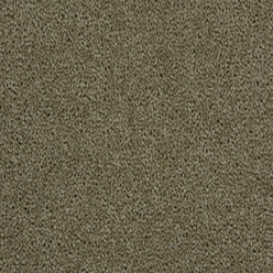 TOMKINSON PLAINS BASIL Image