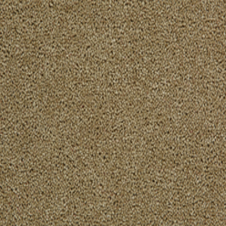 TOMKINSON PLAINS CORIANDER Image